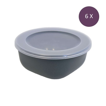 6 boîtes avec couvercle 700 ml